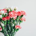 decor.jpg decor.jpg